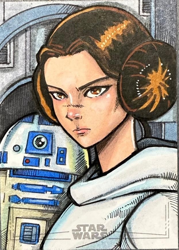 2025 Topps Star Wars Meiyo Hobby Personal Box 1