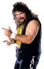 2025 Topps Universe WWE Wrestling Case Break PYW 1